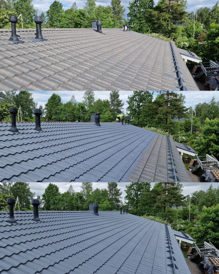 Roof Coating