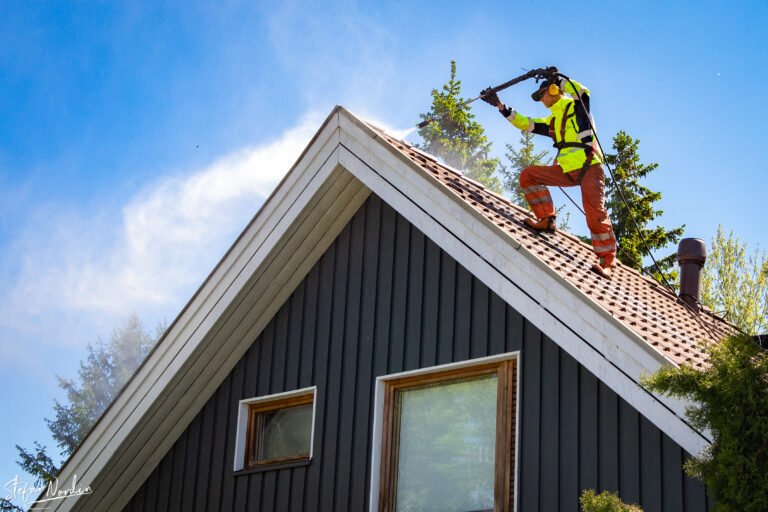 Roof washing